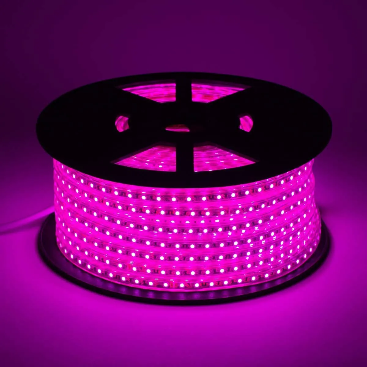 120V LED Strip Lights | 164ft Roll