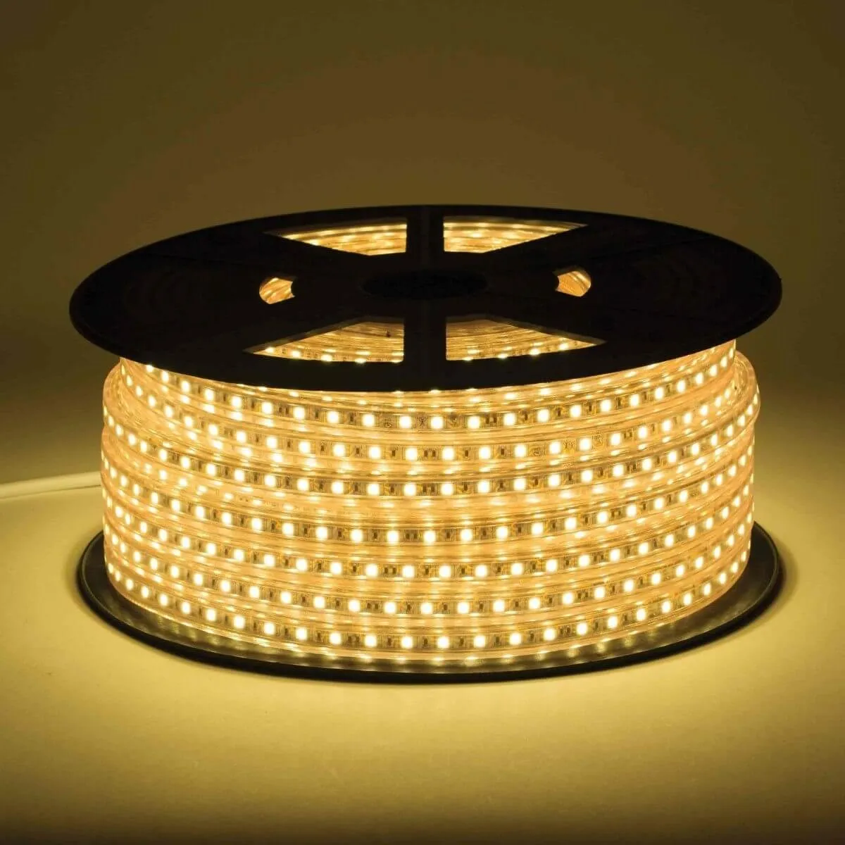 120V LED Strip Lights | 164ft Roll
