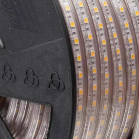120V LED Strip Lights | 164ft Roll