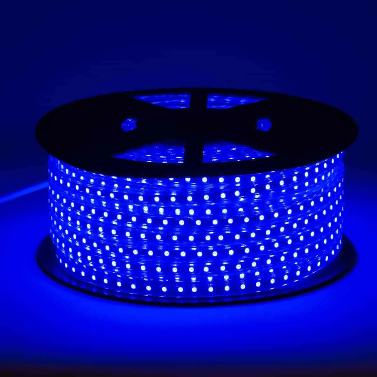 120V LED Strip Lights | 164ft Roll
