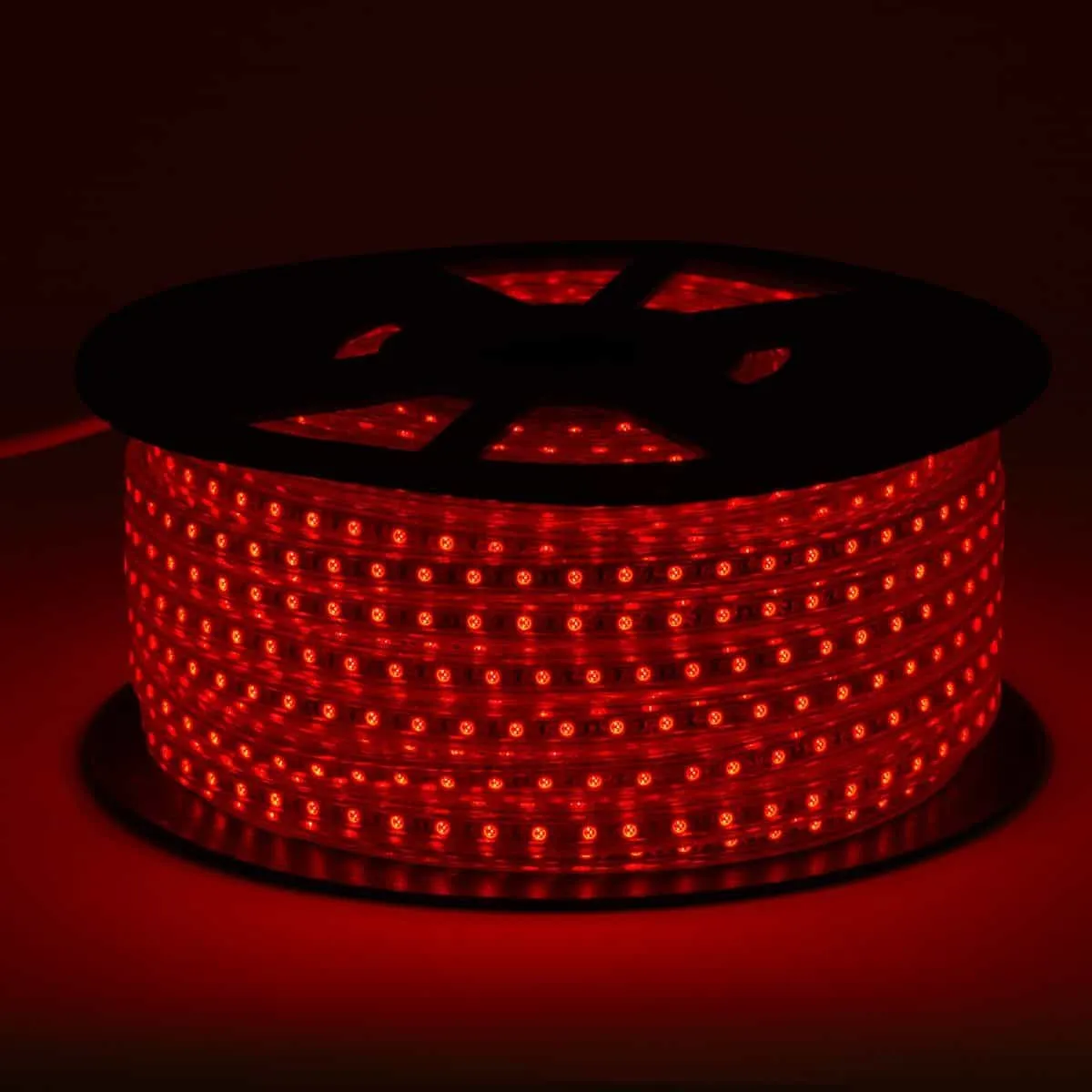 120V LED Strip Lights | 164ft Roll