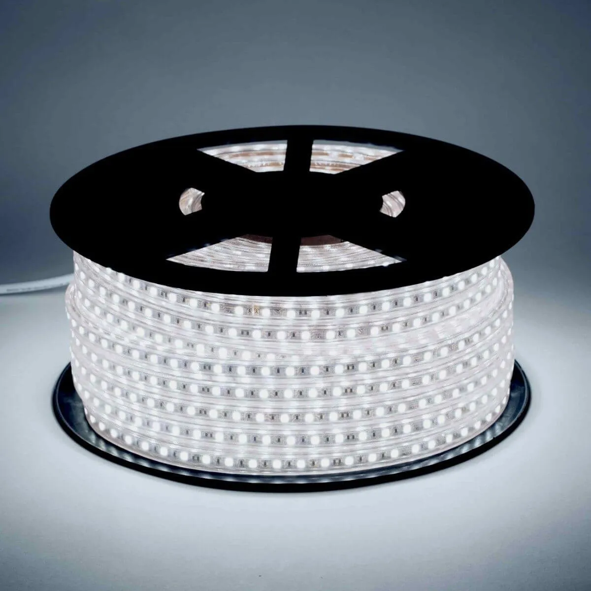 120V LED Strip Lights | 164ft Roll