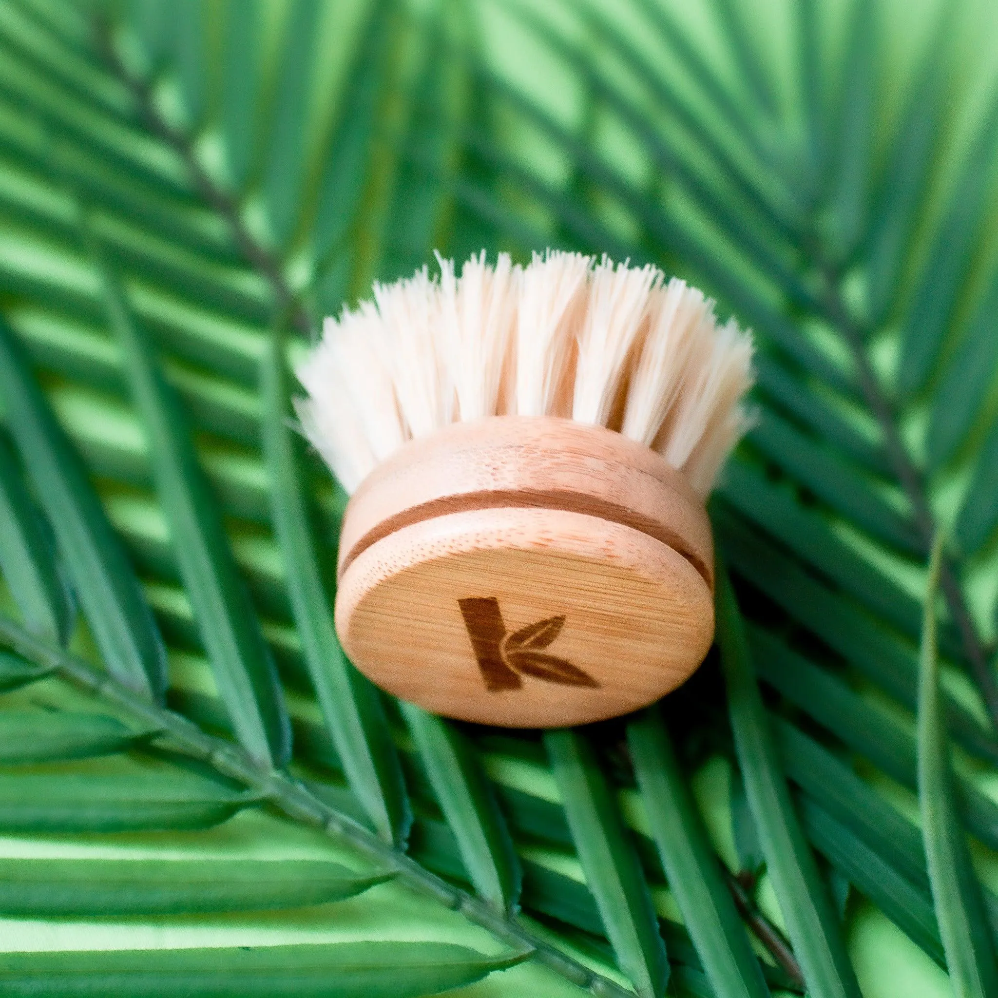 Bamboo Dish Brush Replaceable Head