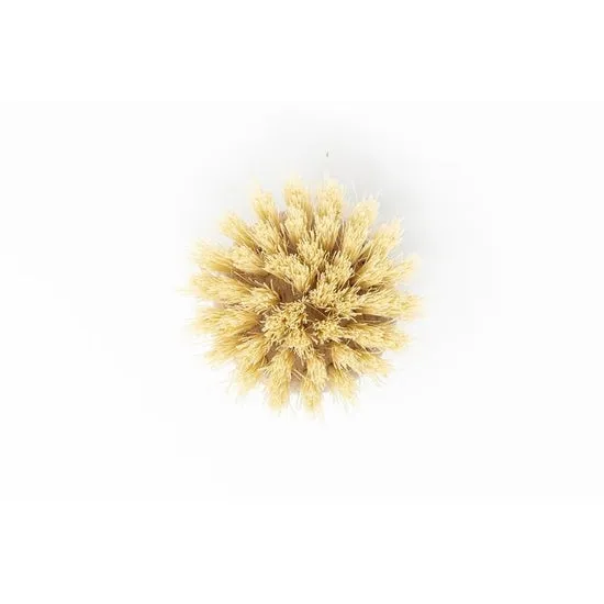Beechwood Dish Brush Replacement Head