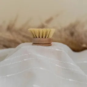 Beechwood Dish Brush Replacement Head