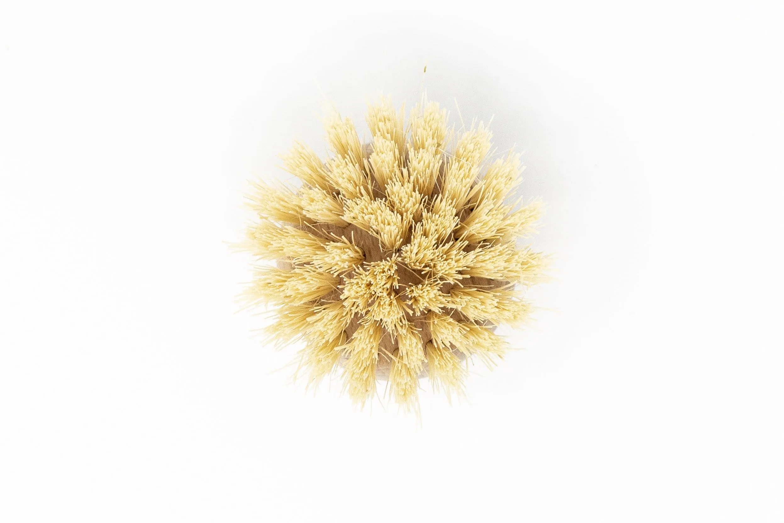 Beechwood Long Handle Dish Brush