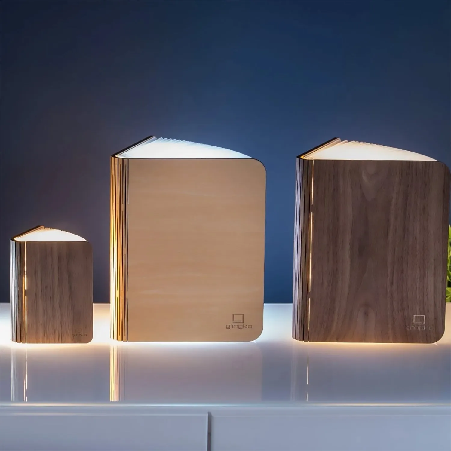 Booklight Mini