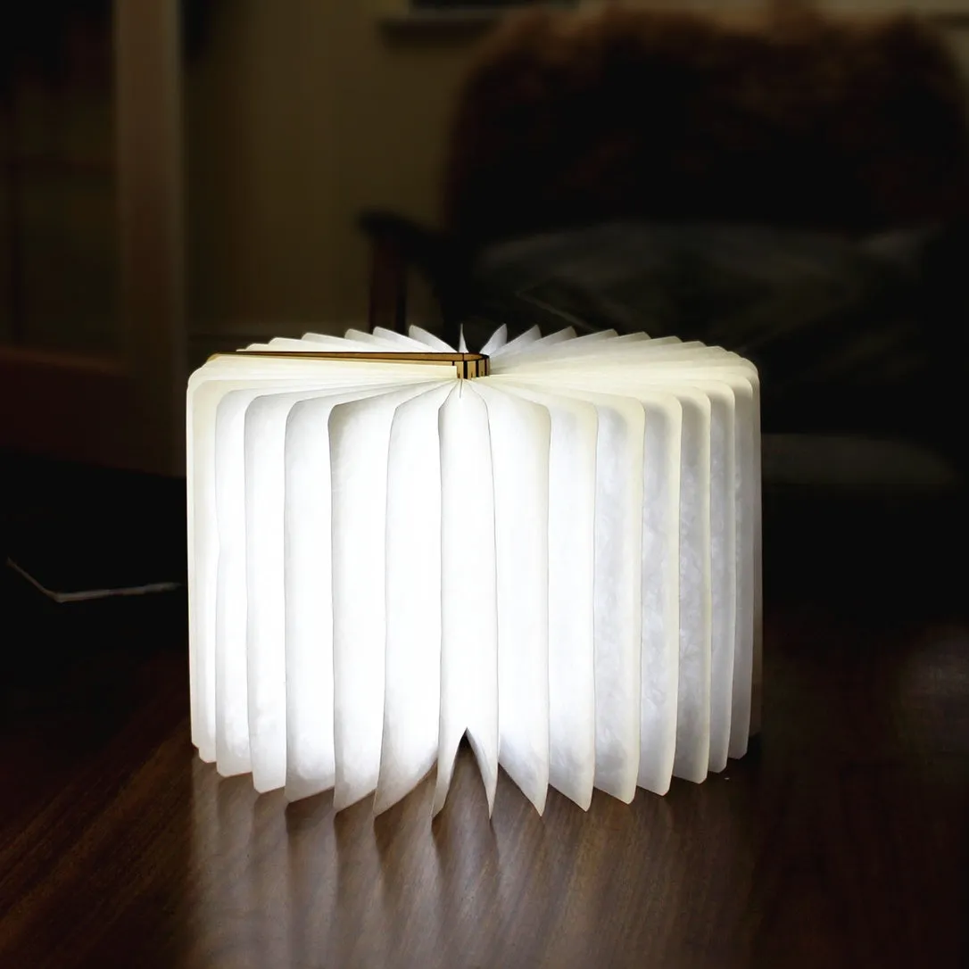 Booklight Mini
