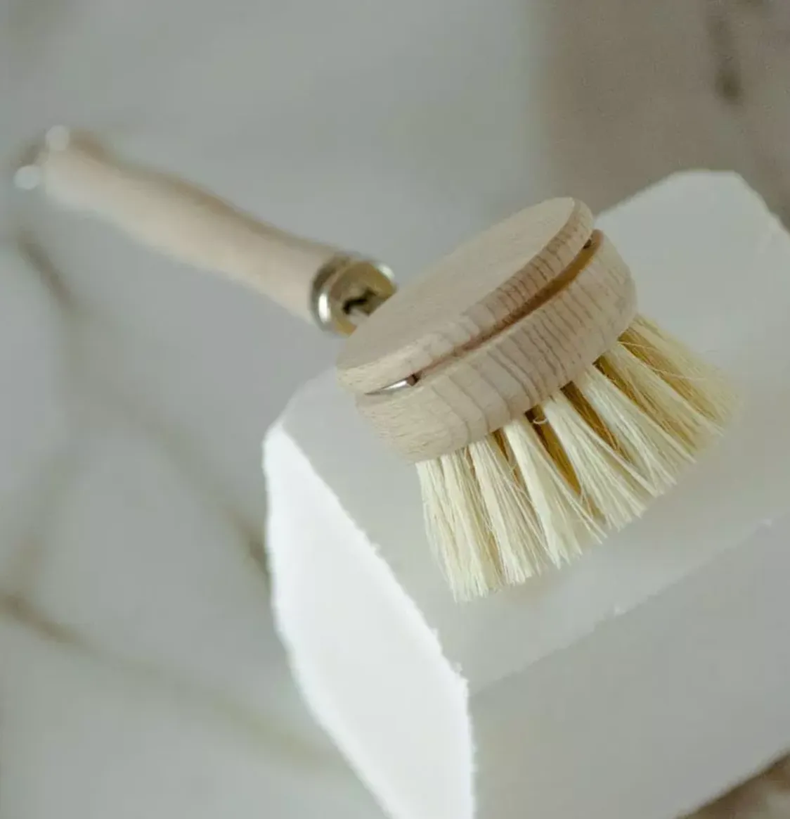 CASA AGAVE® Dish Brush with Replaceable Head