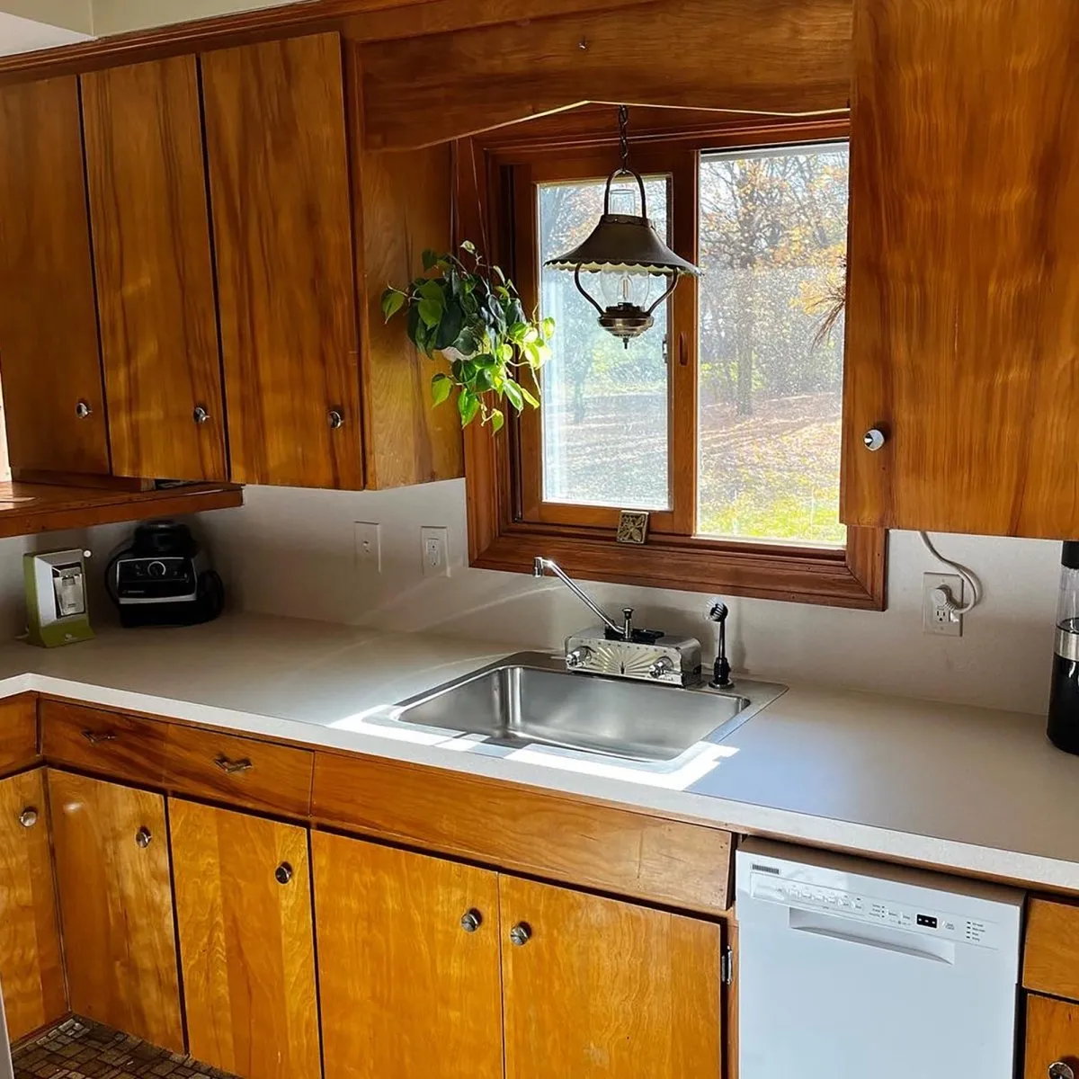 Dishmaster M76XL Imperial Four XL, Chrome
