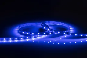 Knightsbridge LFC24B1M 24V IP20 LED Flex Blue (1 metre)