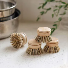 Replacement Heads for Long Handle Dish Brush (Pack of 4)