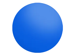 Rx Solid Lens Mirrors