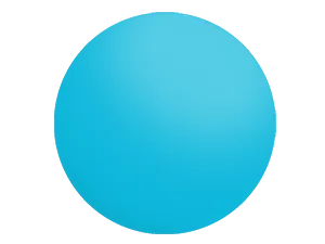Rx Solid Lens Mirrors