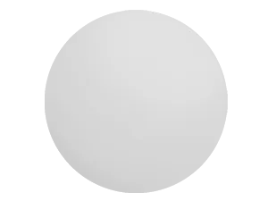 Rx Solid Lens Mirrors