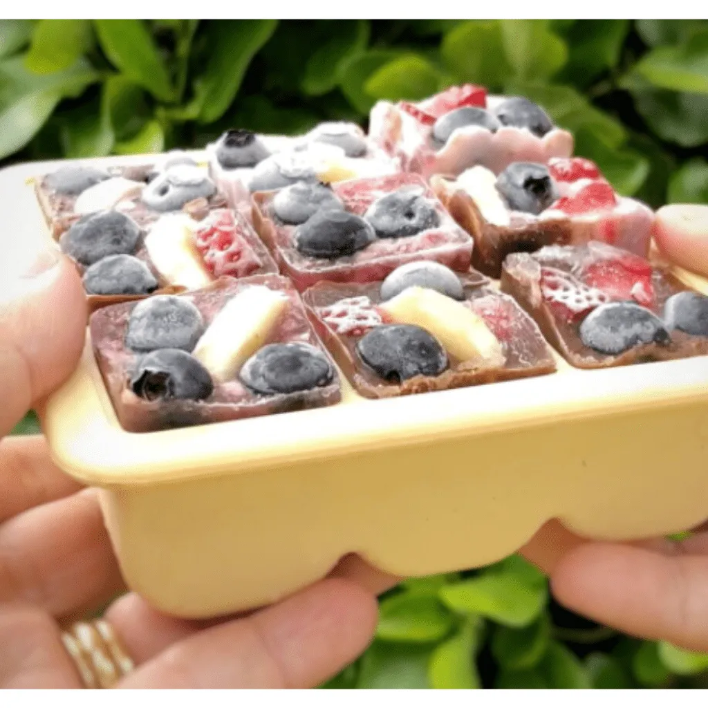 Silicone Freezer Tray