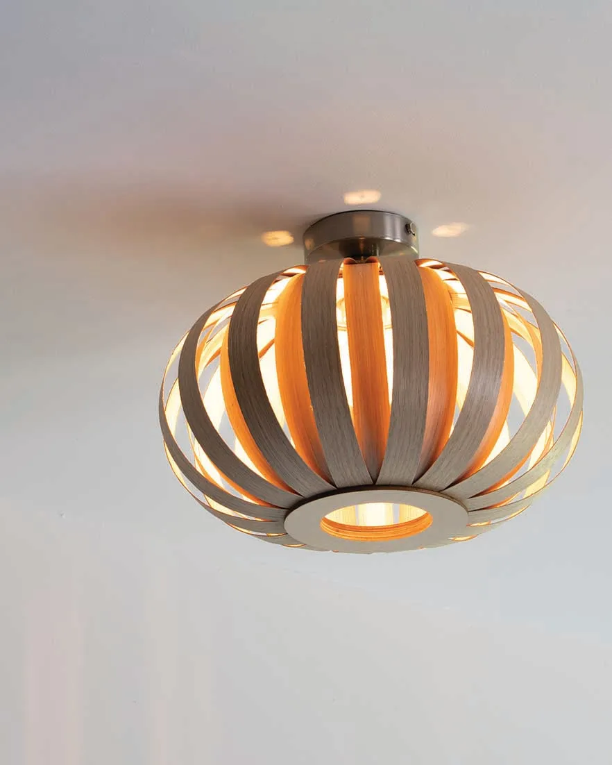 Urchin Flush Ceiling Light