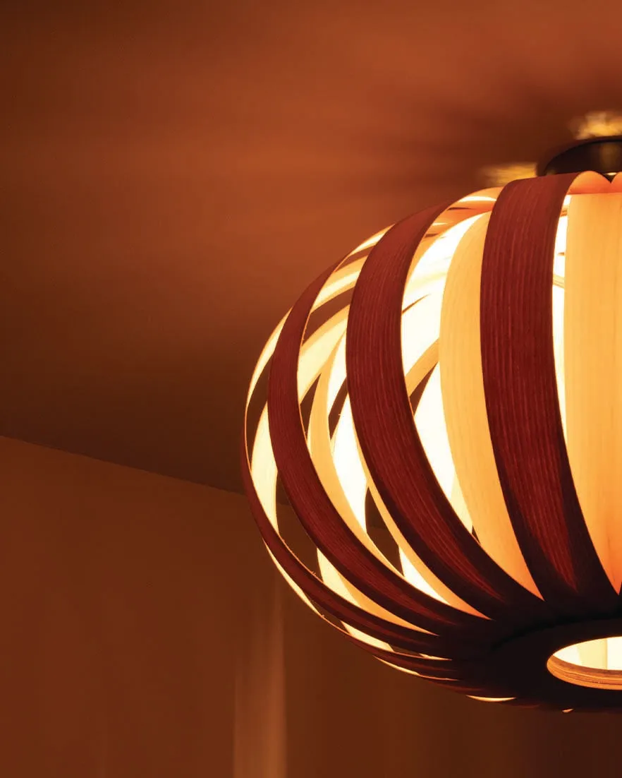 Urchin Small Flush Ceiling Light