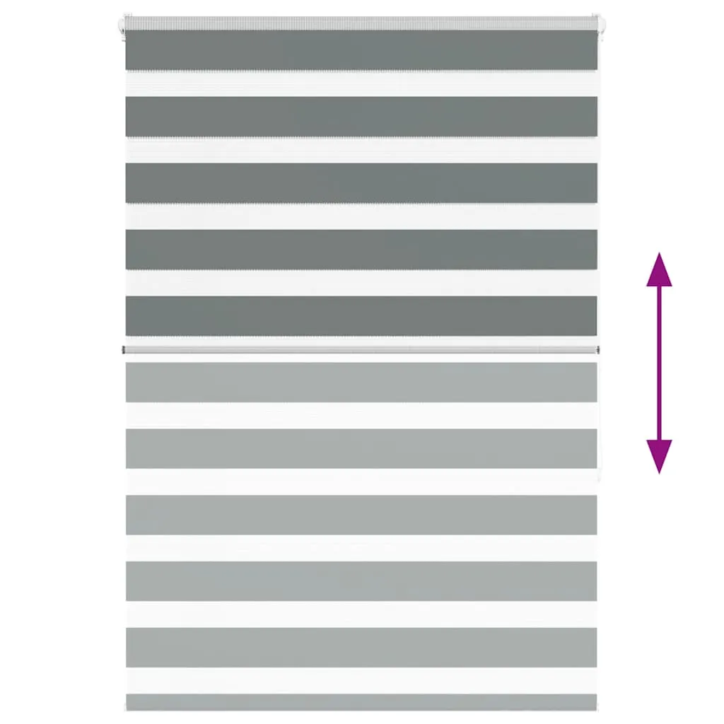 vidaXL Zebra Blind Dark Grey 100x150 cm Fabric Width 95.9 cm Polyester