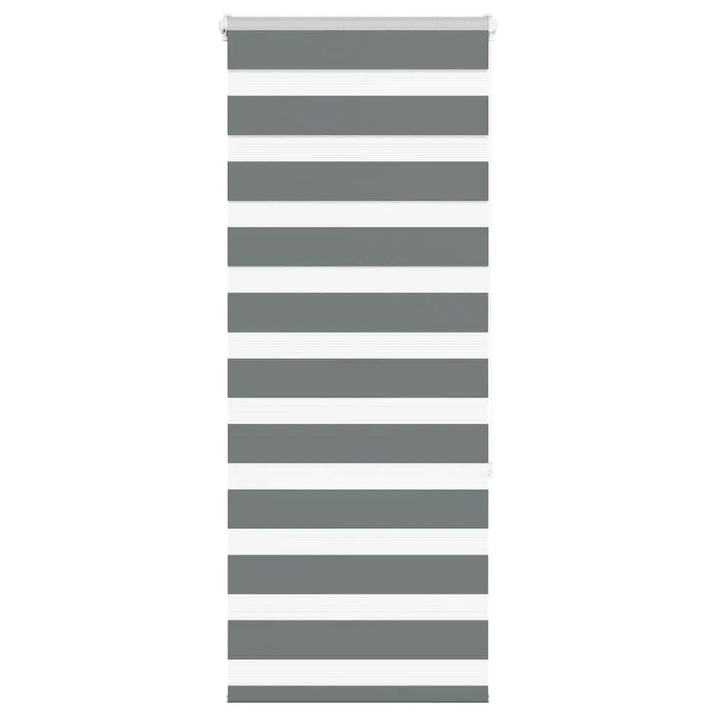 vidaXL Zebra Blind Dark Grey 60x150 cm Fabric Width 55.9 cm Polyester