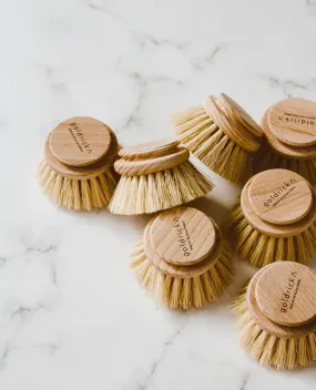 Wooden Dish Brush Replacement Head
