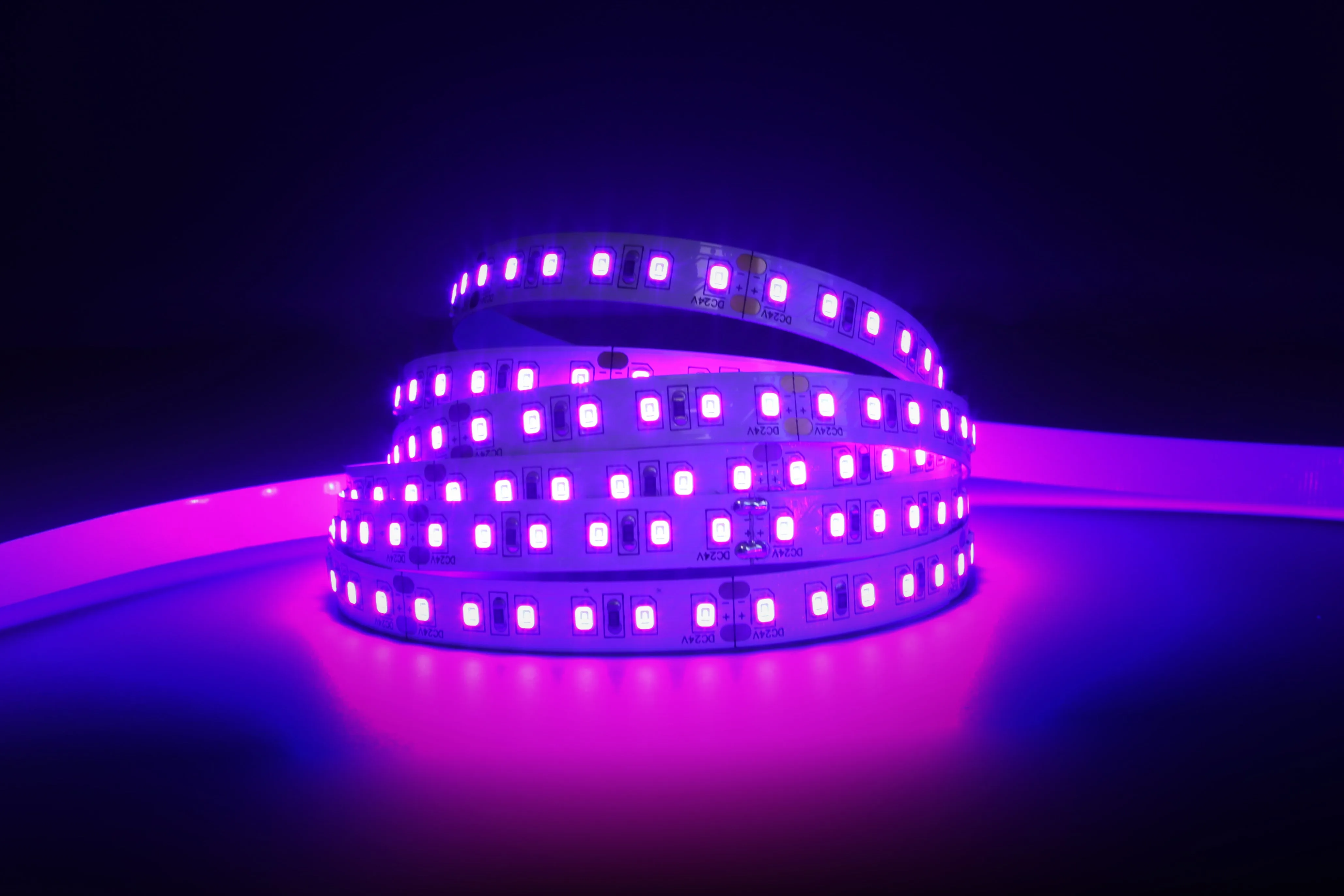 YUJILEDS® Violet LED Flexible Strip - 120 LEDs/m - 5m/Reel