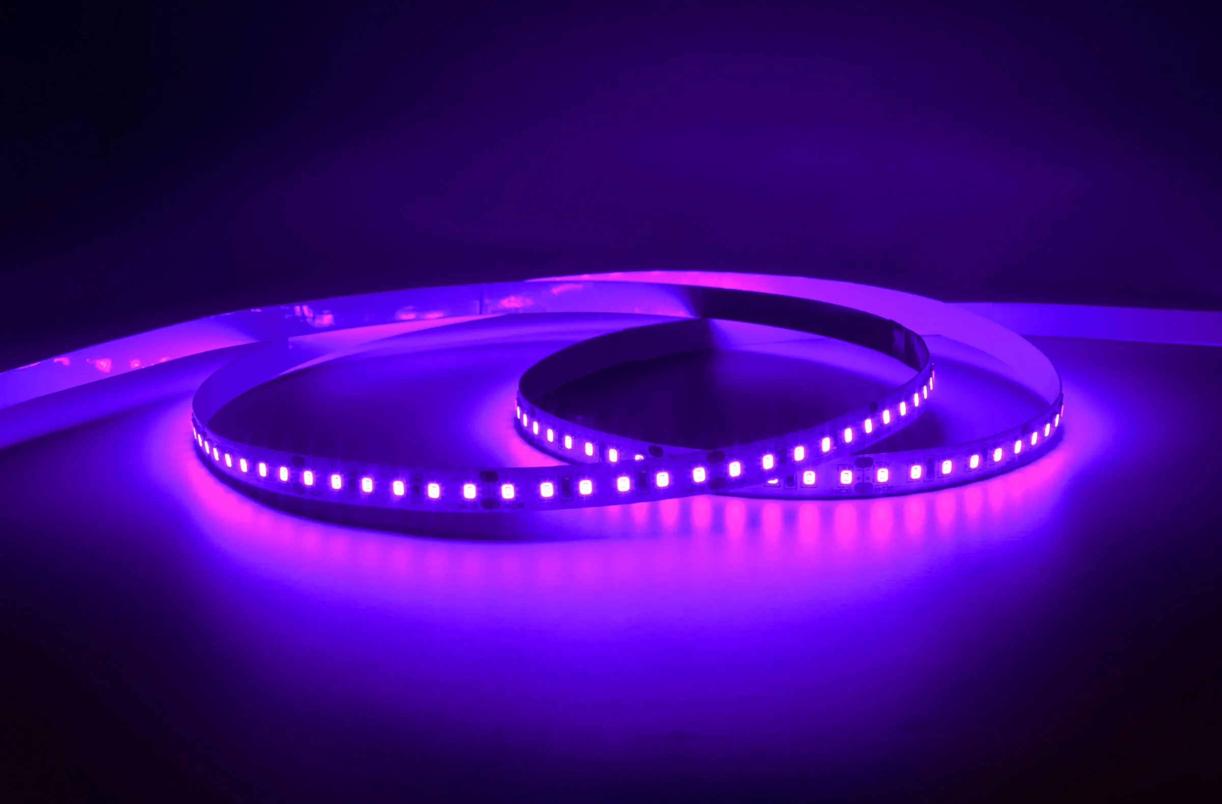 YUJILEDS® Violet LED Flexible Strip - 120 LEDs/m - 5m/Reel